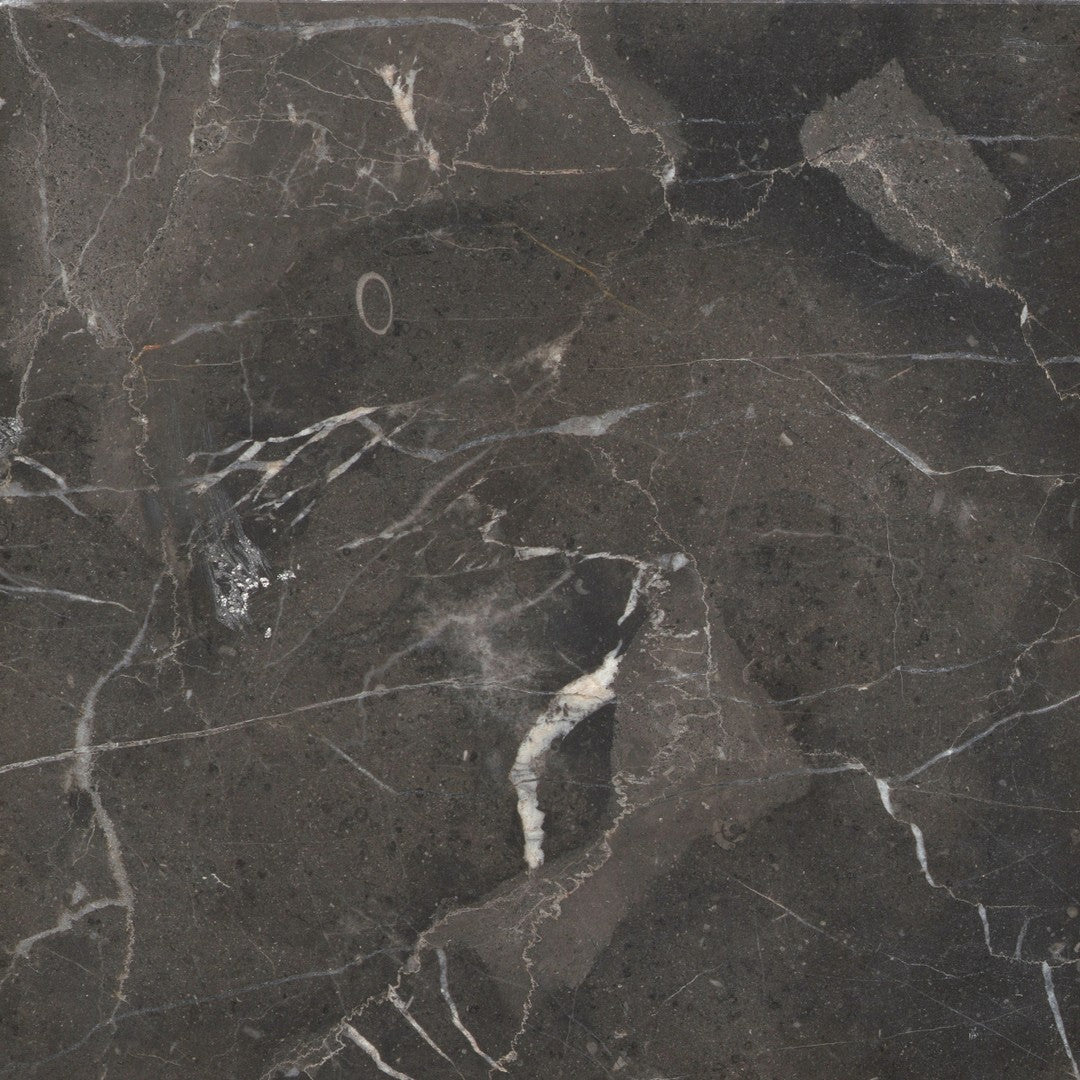 Emser 9" x 9" St. Croix Polished Marble Tile