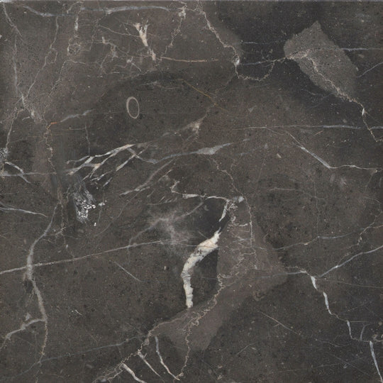 Emser 9" x 9" St. Croix Polished Marble Tile