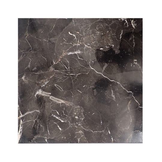 Emser-18-x-18-St.-Croix-Polished-Marble-Tile-Brown