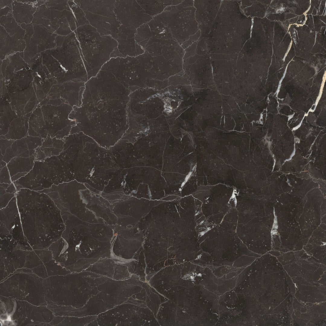 Emser 18" x 18" St. Croix Polished Marble Tile