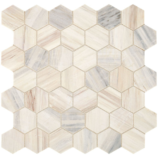 Daltile Fonte 13" x 13" Honed Natural Stone 2" Hexagon Mosaic