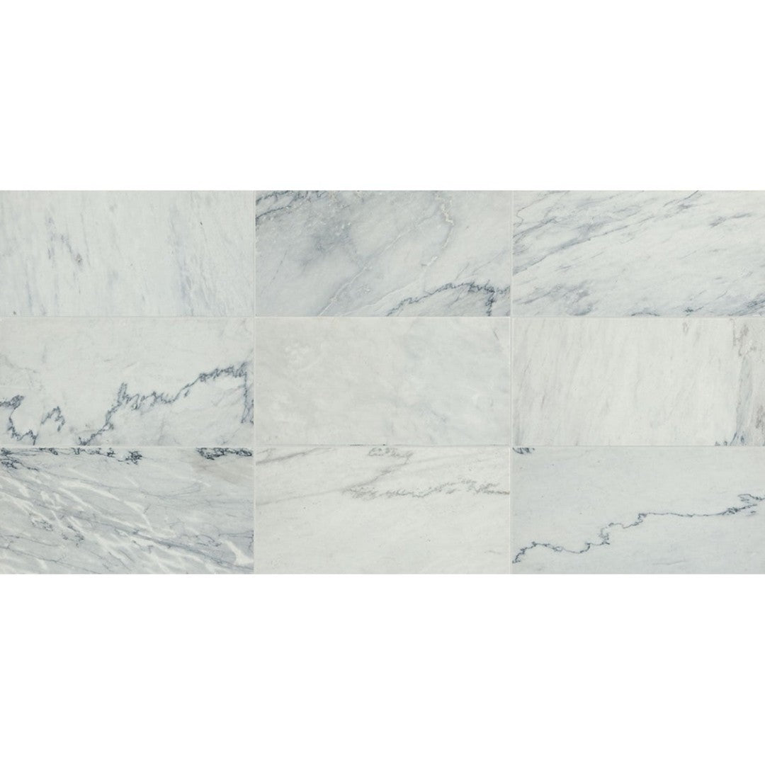 Daltile Raine 12" x 24" Polished Marble Tile