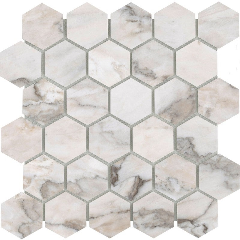 Emser 12" x 12" Lenza Honed 2" Hexagon Marble Mosaic