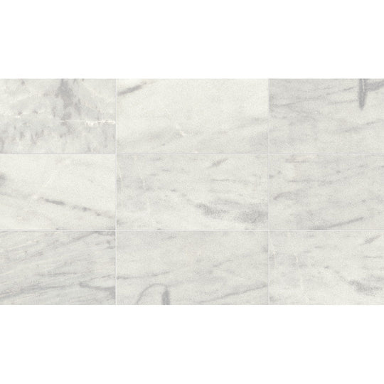 Daltile Parksville Stone 12" x 24" Honed Natural Stone Tile