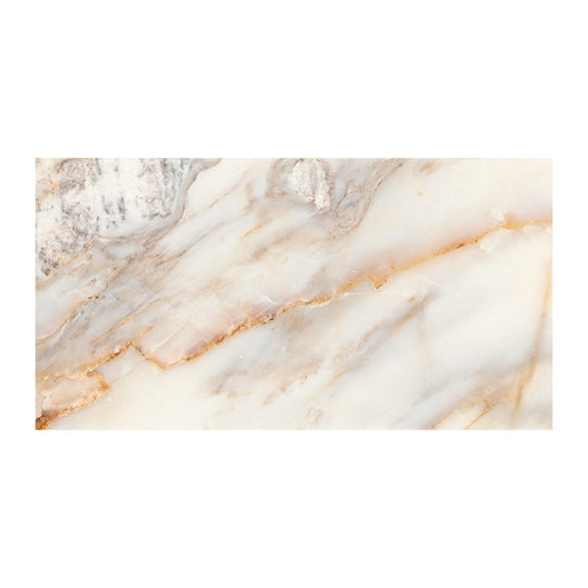 Daltile Gamma 24" x 48" Polished Natural Stone Tile