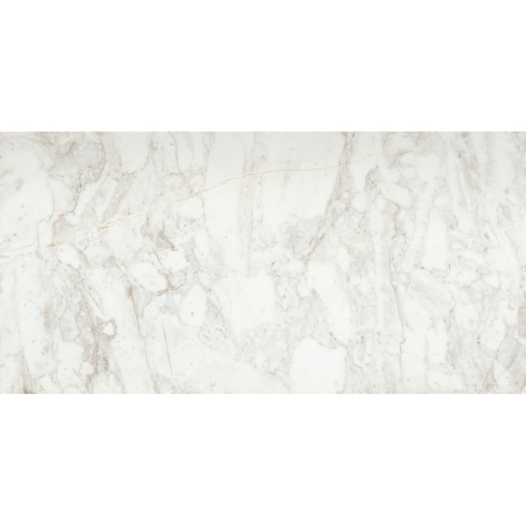Emser 12" x 24" Calacata Honed Marble Tile