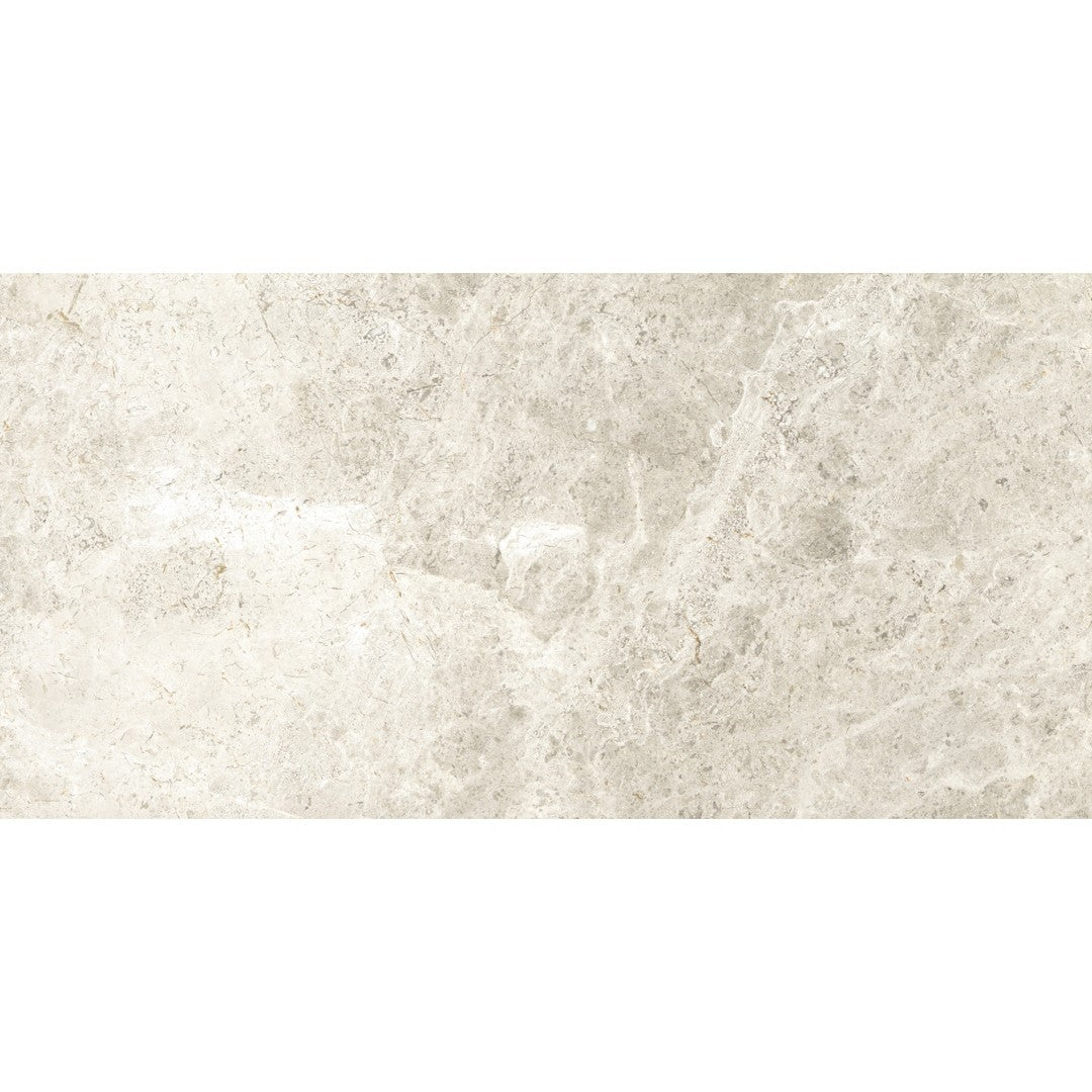 Emser 12" x 24" Tundra Polished Marble Tile