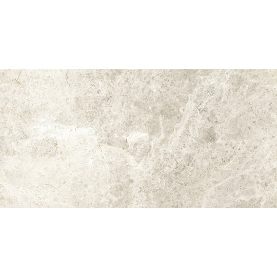 Emser 12" x 24" Tundra Polished Marble Tile