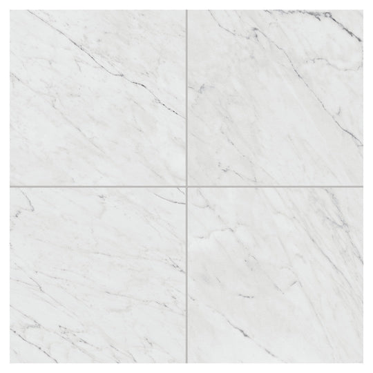 Daltile Marble Attache Lavish 24" x 24" Rectified Matte Porcelain Floor Tile