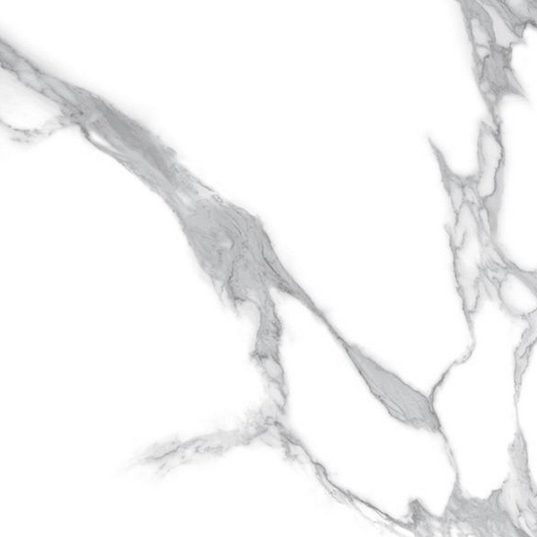 Tesoro 24" x 24" Elegance Rectified Polished Porcelain Tile