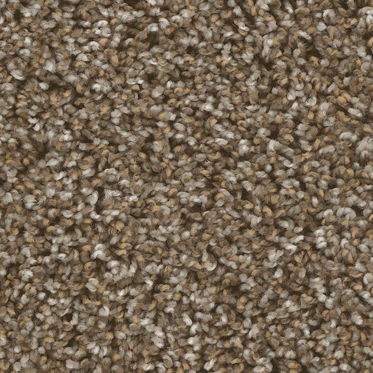 Phenix Microban Bodega Bay 12' Polyester Carpet Tile