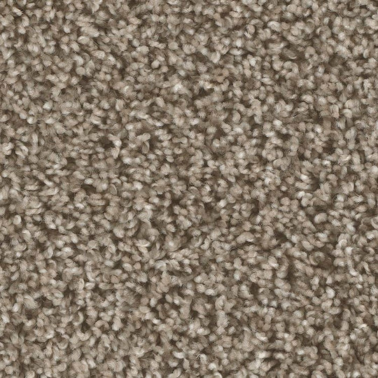 Phenix Microban Bodega Bay 12' Polyester Carpet Tile