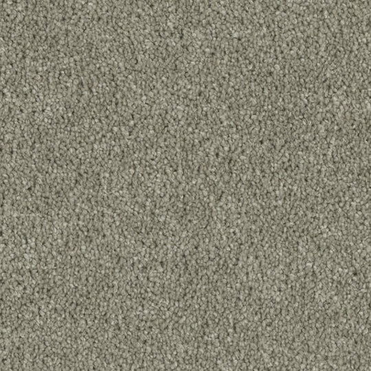 Phenix Microban Tempt 12' Polyester Carpet Tile