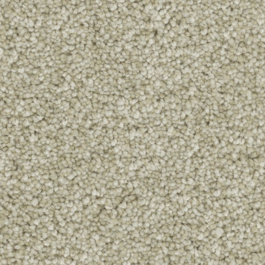 Phenix Microban Blessed 12' Polyester Carpet Tile