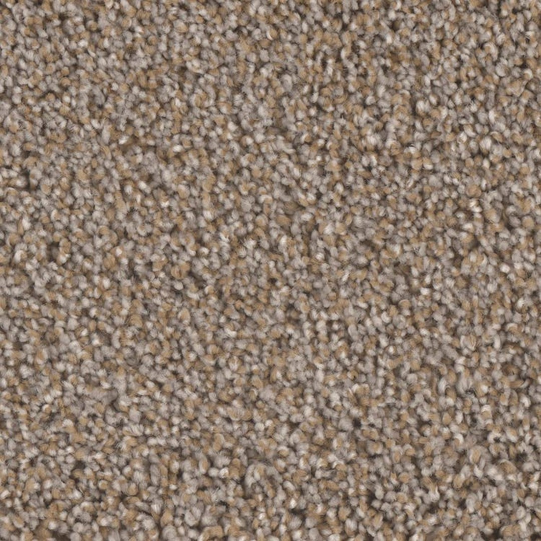 Phenix Microban Blessed 12' Polyester Carpet Tile