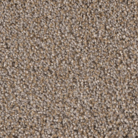 Phenix Microban Blessed 12' Polyester Carpet Tile