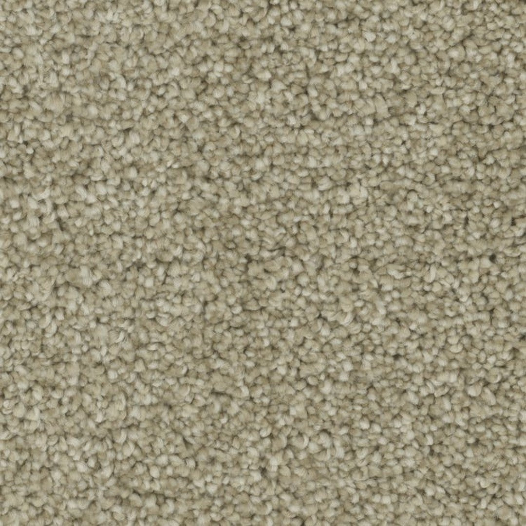 Phenix Microban Blessed 12' Polyester Carpet Tile