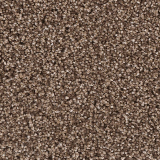 Phenix Microban Blessed 12' Polyester Carpet Tile