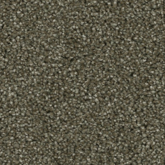 Phenix Microban Blessed 12' Polyester Carpet Tile