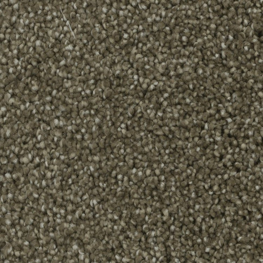 Phenix Microban Blessed 12' Polyester Carpet Tile