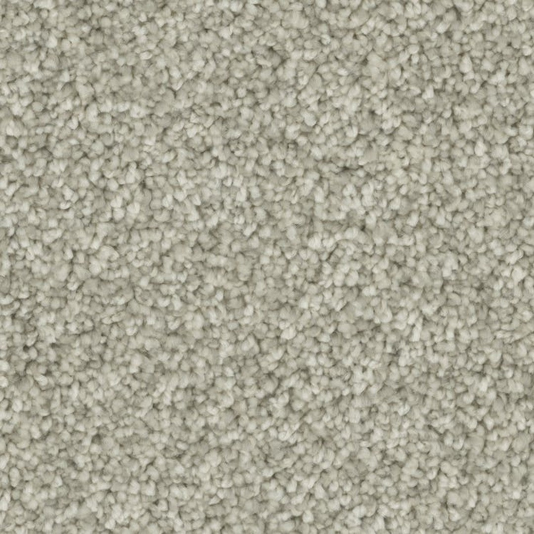 Phenix Microban Blessed 12' Polyester Carpet Tile