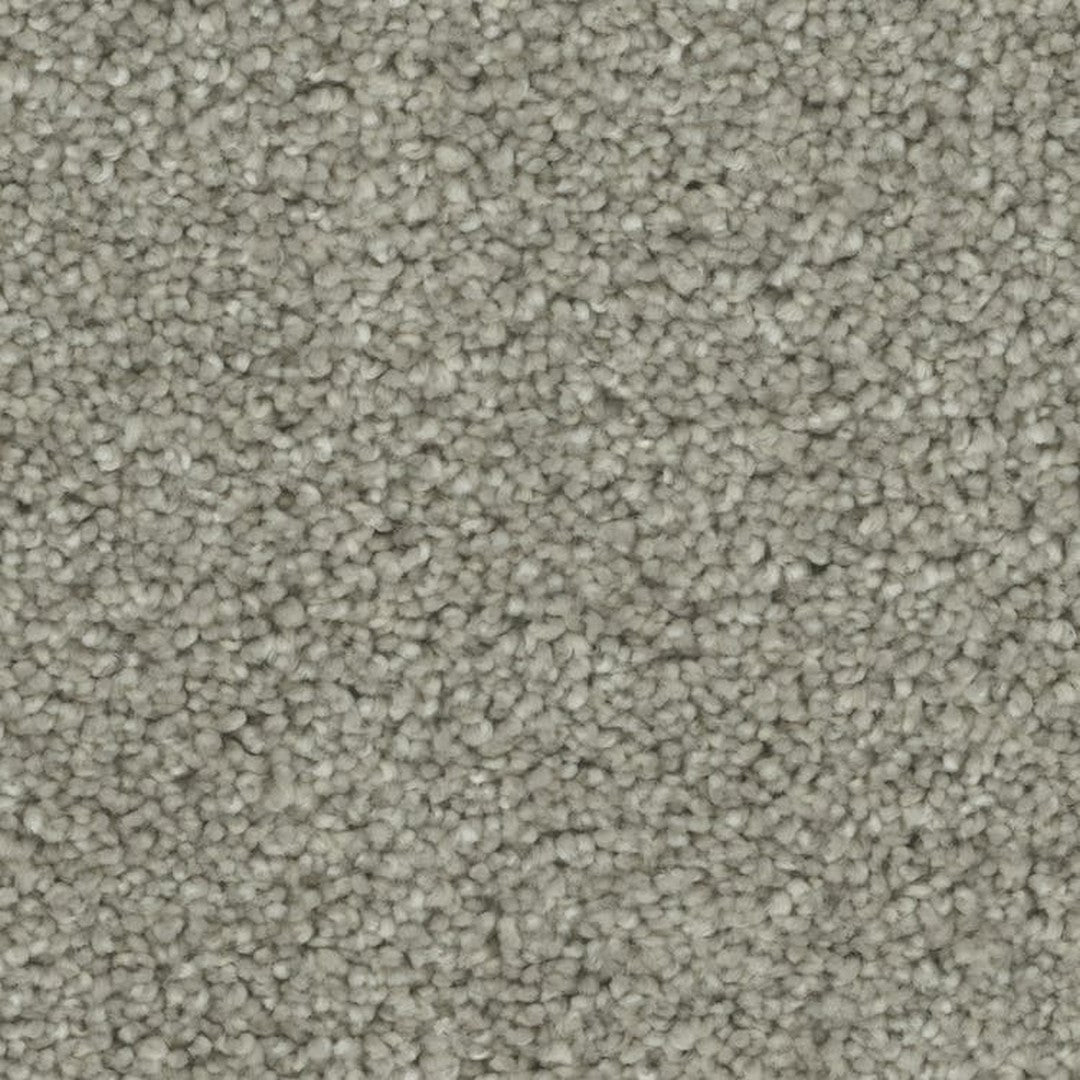 Phenix Microban Blessed 12' Polyester Carpet Tile