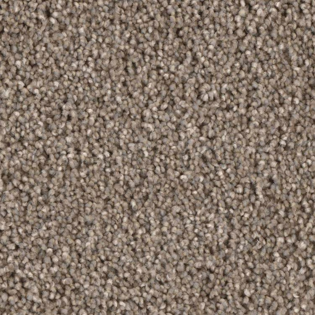 Phenix Microban Blessed 12' Polyester Carpet Tile