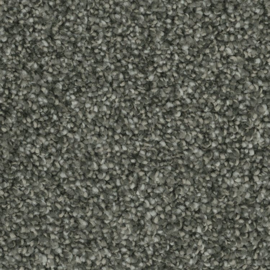 Phenix Microban Blessed 12' Polyester Carpet Tile