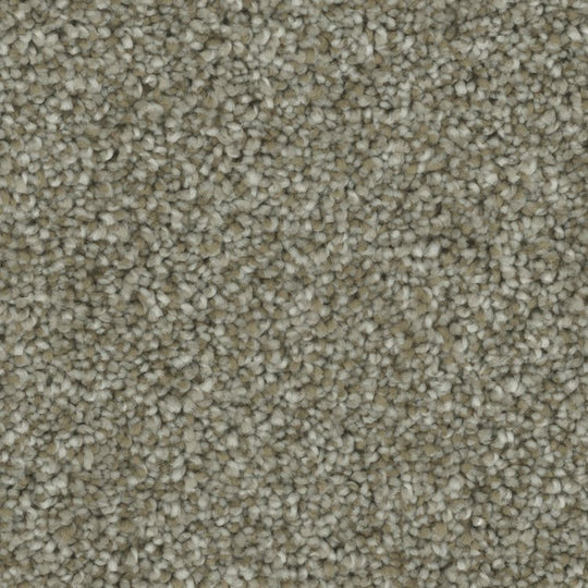 Phenix Microban Blessed 12' Polyester Carpet Tile