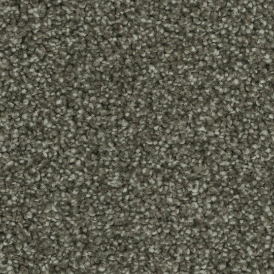 Phenix Microban Blessed 12' Polyester Carpet Tile