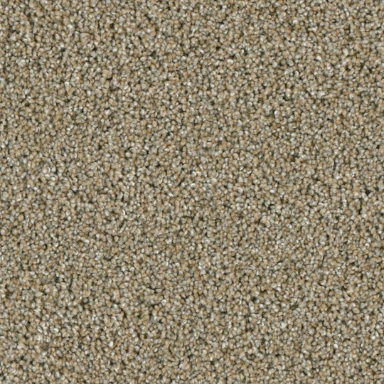 Phenix Microban Ryman 12' Polyester Carpet Tile