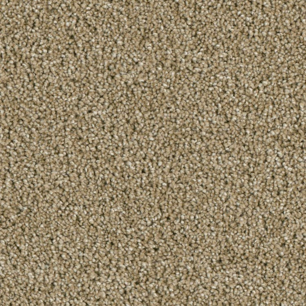 Phenix Microban Ryman 12' Polyester Carpet Tile