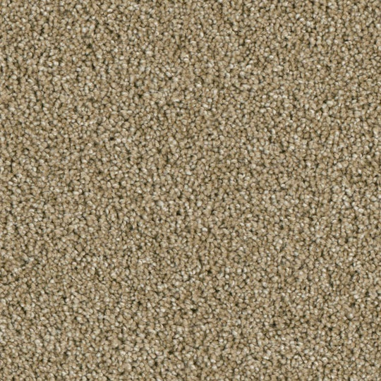 Phenix Microban Ryman 12' Polyester Carpet Tile