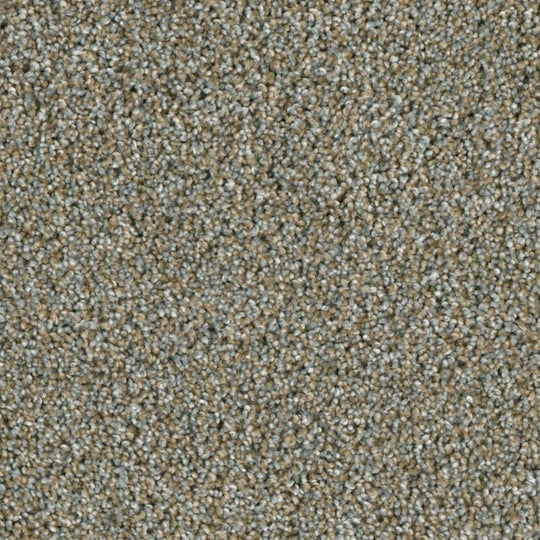 Phenix Microban Ryman 12' Polyester Carpet Tile