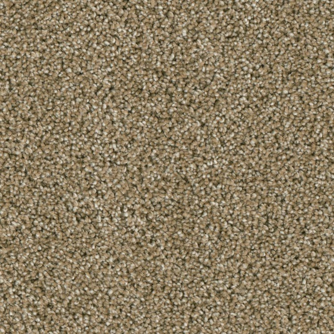 Phenix Microban Ryman 12' Polyester Carpet Tile