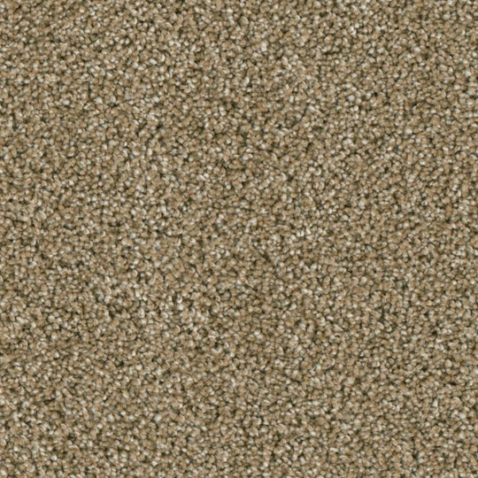 Phenix Microban Ryman 12' Polyester Carpet Tile