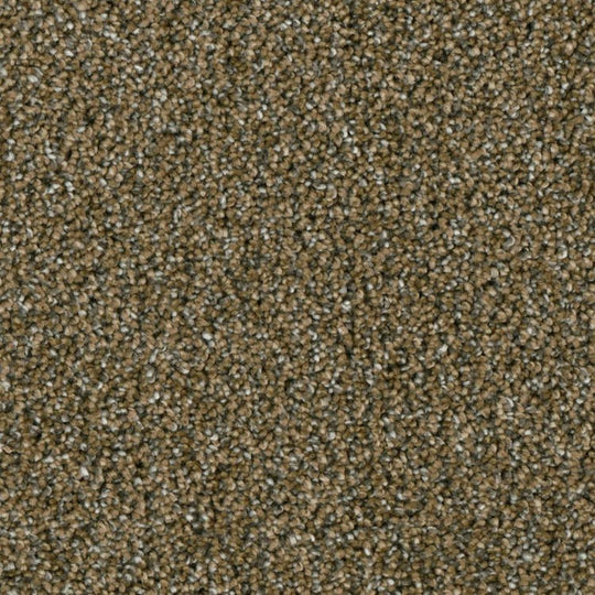 Phenix Microban Ryman 12' Polyester Carpet Tile