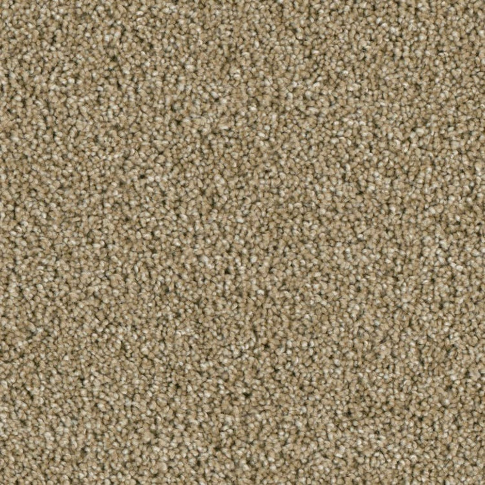 Phenix Microban Tabernacle 12' Polyester Carpet Tile
