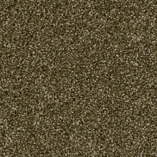 Phenix Microban Tabernacle 12' Polyester Carpet Tile