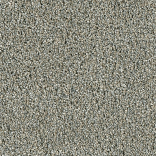 Phenix Microban Tabernacle 12' Polyester Carpet Tile