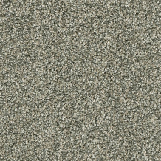 Phenix Microban Lincoln Hall 12' Polyester Carpet Tile