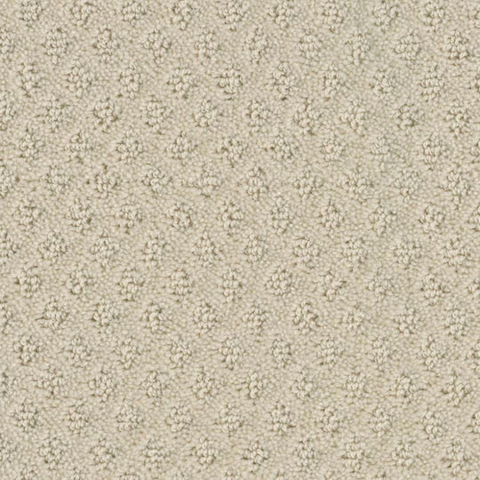 Phenix Microban Memento 12' Polyester Carpet Tile