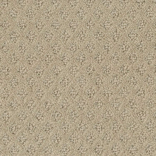 Phenix Microban Memento 12' Polyester Carpet Tile