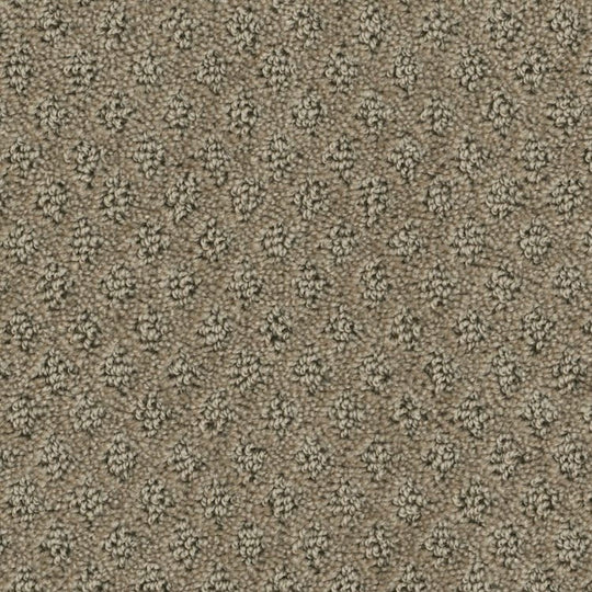 Phenix Microban Memento 12' Polyester Carpet Tile