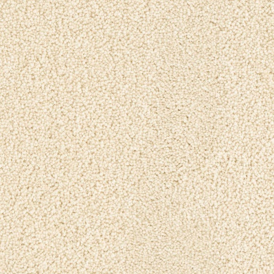 Phenix Microban Five Star 12' Polyester Carpet Tile