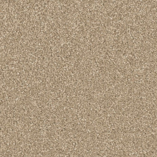 Phenix Microban Five Star 12' Polyester Carpet Tile