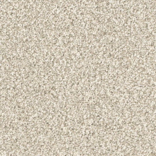 Phenix Microban Five Star 12' Polyester Carpet Tile