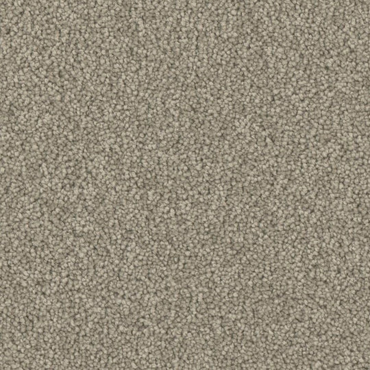 Phenix Microban Five Star 12' Polyester Carpet Tile