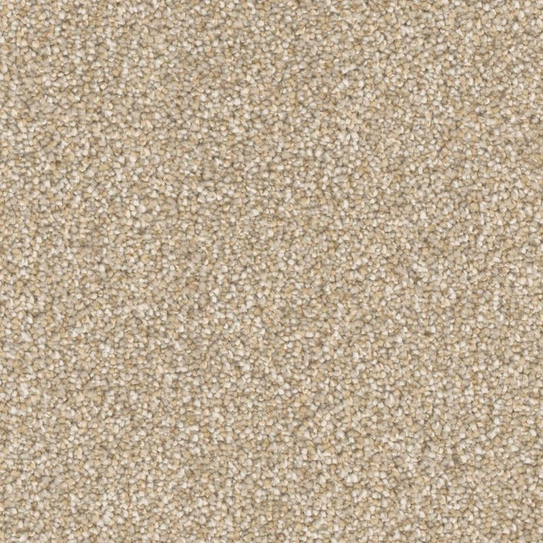 Phenix Microban Five Star 12' Polyester Carpet Tile