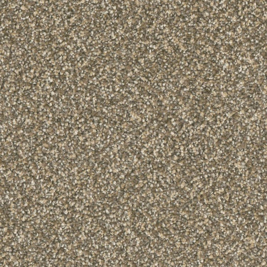 Phenix Microban Five Star 12' Polyester Carpet Tile